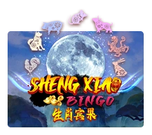 Sheng Xiao Bingo - STONEBET88
