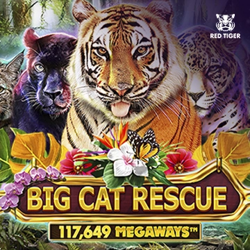 Redtiger : Big Cat Rescue Megaways - STONEBET88