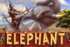 PLAYSTAR : ELEPHANT - STONEBET88